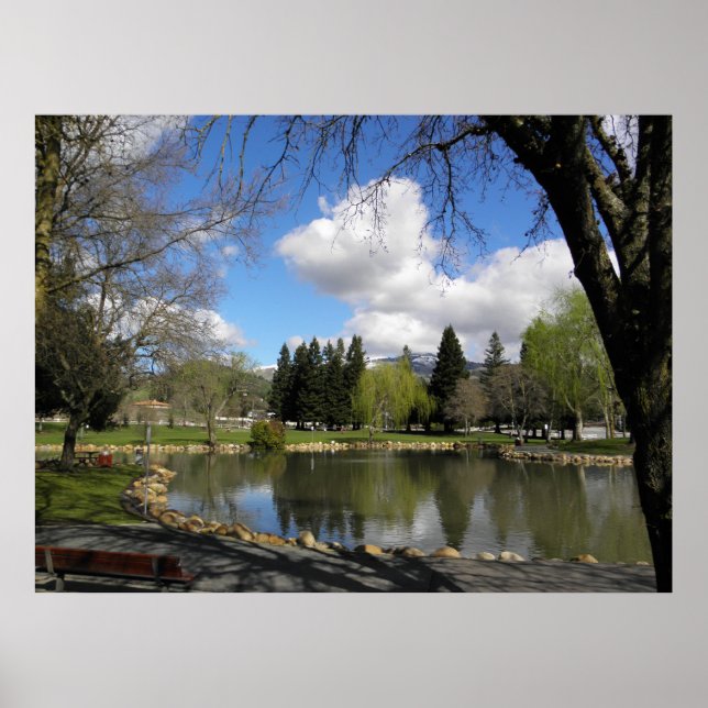 Affiche Le parc après la tempête (Devant)