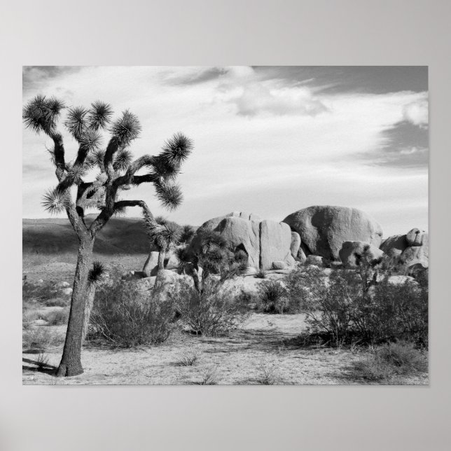 Affiche Le parc national de B&W Joshua Tree (Devant)