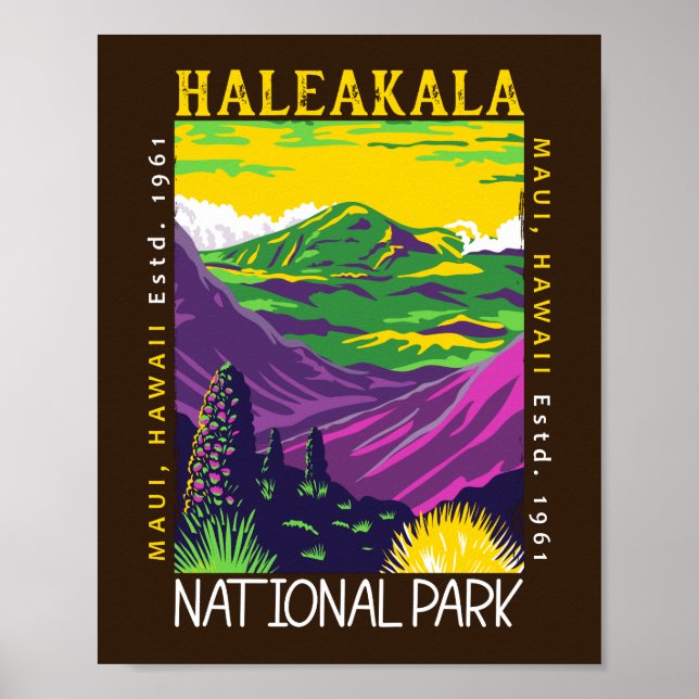Affiche Le Parc national de Haleakala Hawaii Vintage (Devant)