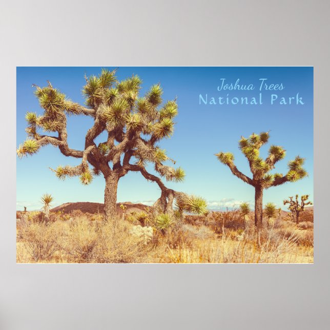 Affiche Le Parc national de Joshua Trees (Devant)