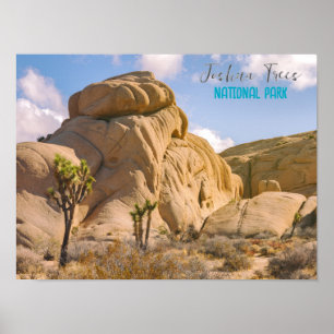 Affiche Le Parc national de Joshua Trees