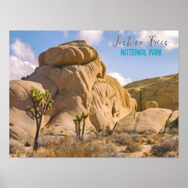 Affiche Le Parc national de Joshua Trees (Devant)