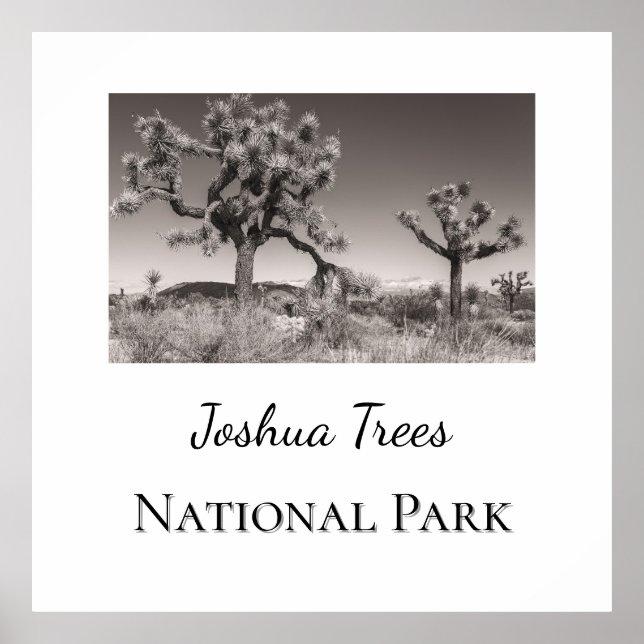 Affiche Le Parc national de Joshua Trees (Devant)