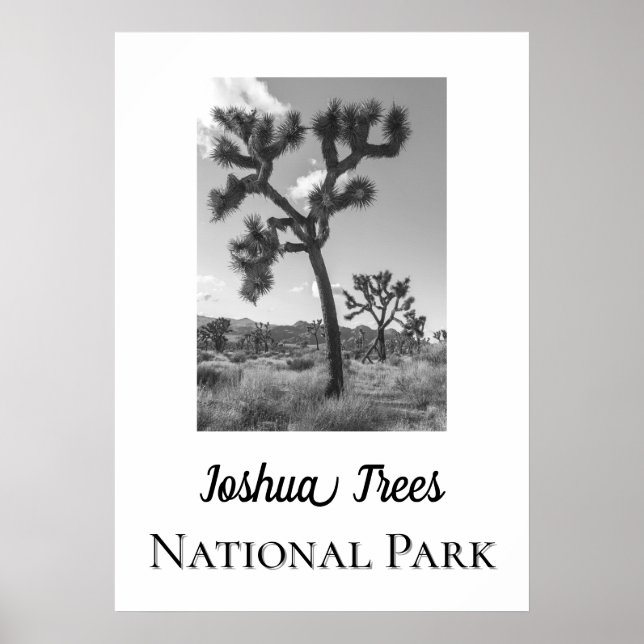 Affiche Le Parc national de Joshua Trees (Devant)