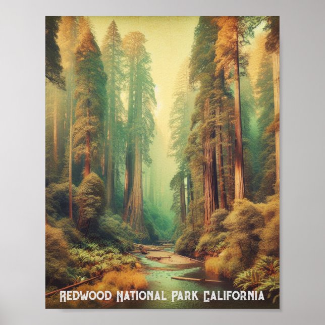 Affiche Le parc national de Redwood Californie (Devant)