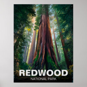Affiche Le parc national de Redwood, Californie côtière