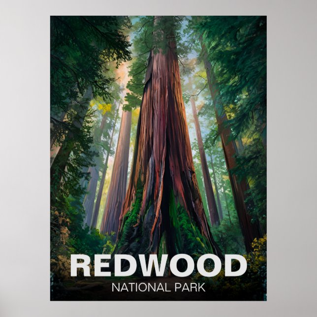 Affiche Le parc national de Redwood, Californie côtière (Devant)
