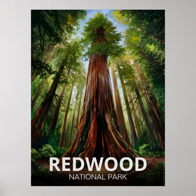 Affiche Le parc national de Redwood, Californie côtière (Devant)