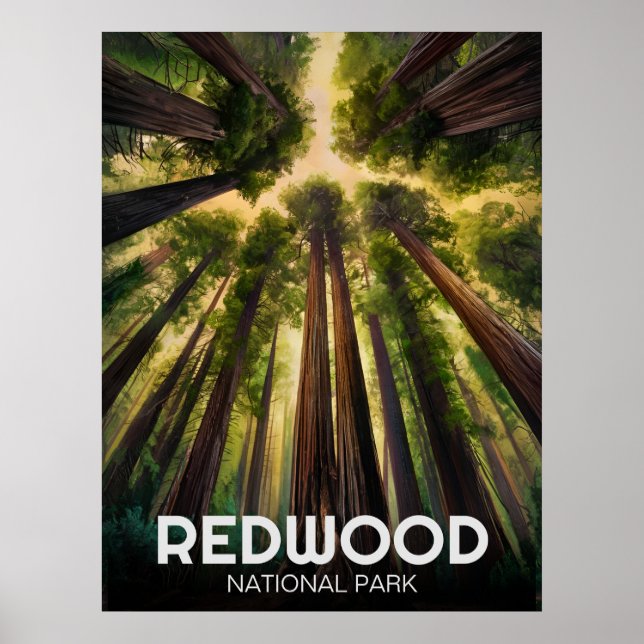 Affiche Le parc national de Redwood, Californie côtière (Devant)