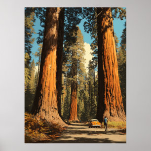 Affiche Le parc national de Redwood Vintage Style Voyage