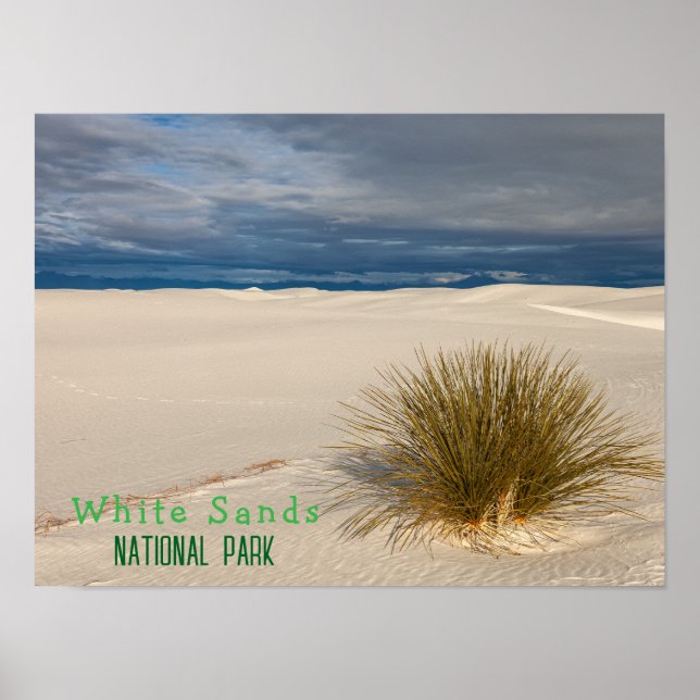 Affiche Le parc national de White Sands (Devant)