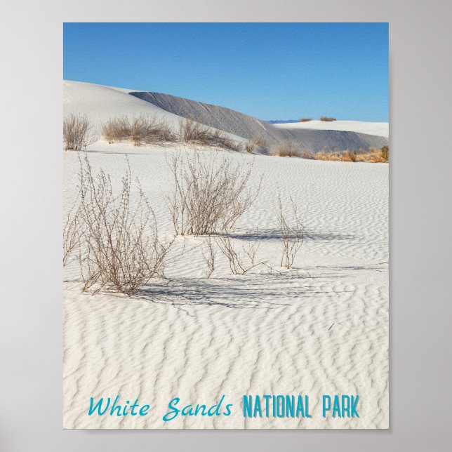 Affiche Le parc national de White Sands (Devant)