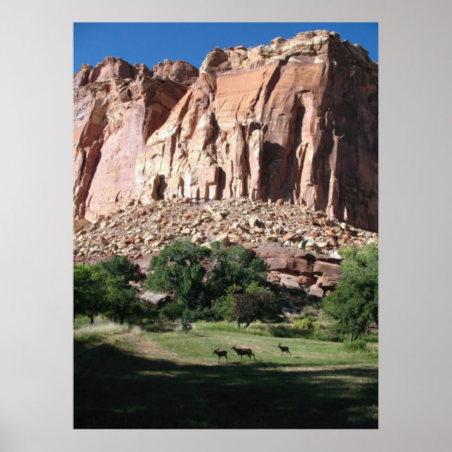 Affiche Le Parc national du Capitol Reef (Devant)