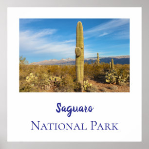 Affiche Le Parc national du Saguaro