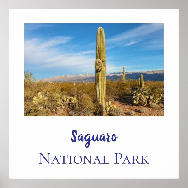 Affiche Le Parc national du Saguaro (Devant)