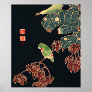 Affiche Le paroquet d'Ito Jakuchu Art japonais des oiseaux