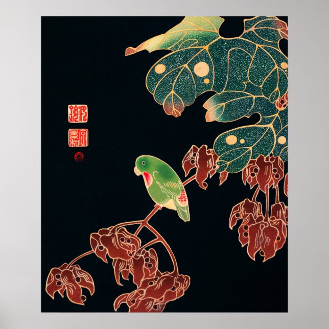 Affiche Le paroquet d'Ito Jakuchu (vers 1900) (Devant)