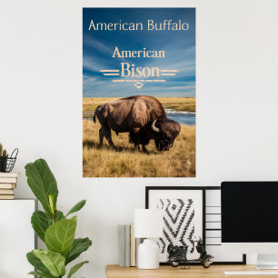 Affiche Le pâturage du bison au bord de la rivière
