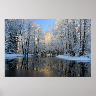 Affiche Le pays des merveilles d'hiver