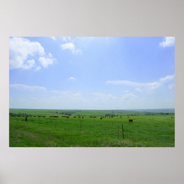 Affiche Le paysage du Kansas (Devant)