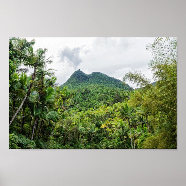 Affiche Le paysage du mont Britton et du mont el yunque (Devant)