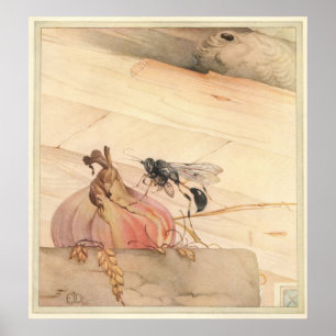 Affiche Le PELOPAEUS SPIRIFEX - illustration de livre