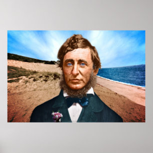 Affiche Le Penman Wellfleet