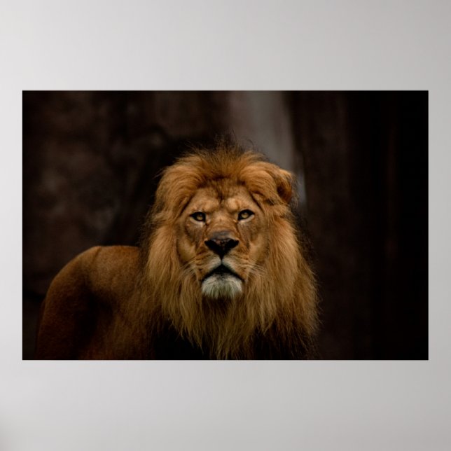 Affiche Le pied (Devant)