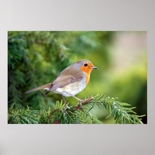 Affiche Le plaisir de la nature (Devant)