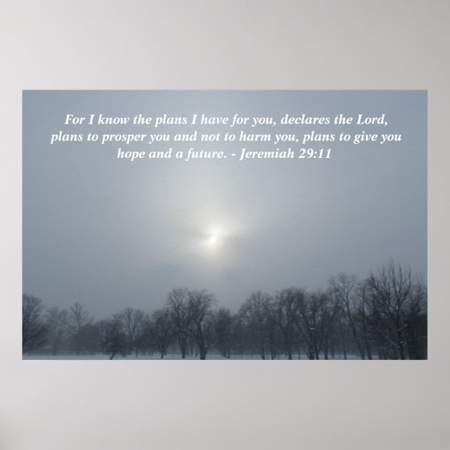 AFFICHE LE PLAN DE DIEU (Devant)