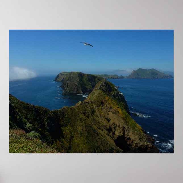 Affiche Le point d'inspiration d'Anacapa I dans les îles d (Devant)