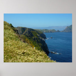 Affiche Le point d'inspiration d'Anacapa II aux Channel Is