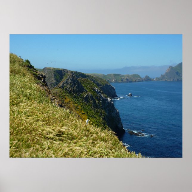 Affiche Le point d'inspiration d'Anacapa II aux Channel Is (Devant)