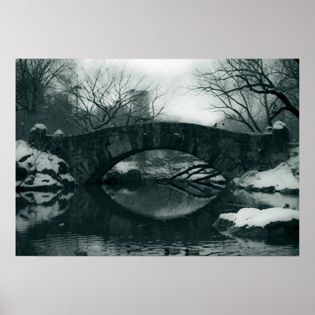 Affiche Le pont de Central Park (Devant)