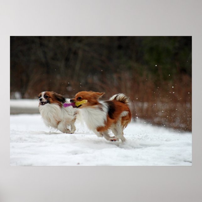 Affiche Le premier jour de l'hiver 2012 (Devant)