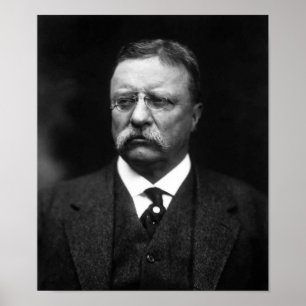 Affiche Le président Teddy Roosevelt