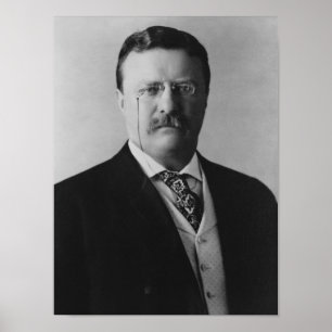Affiche Le Président Theodore Roosevelt - 1904