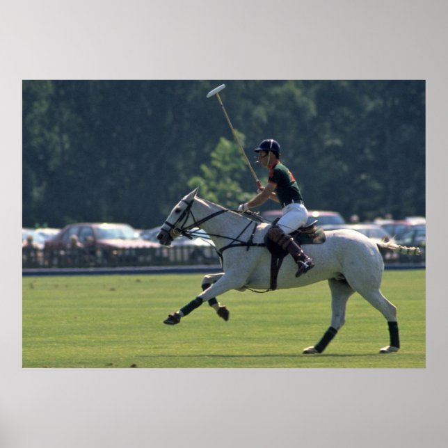 Affiche Le Prince Charles joue au polo à Windsor (Devant)
