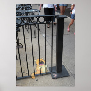 Affiche Le prisonnier de chat