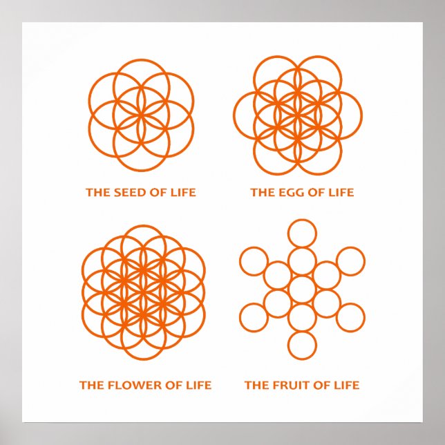 Affiche Le processus de création (Devant)