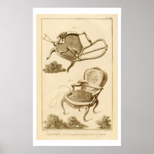 Affiche Le processus de tapisser une chaise, de 'P.J.