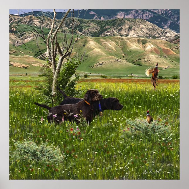 Affiche Le Pudelpointer (Devant)