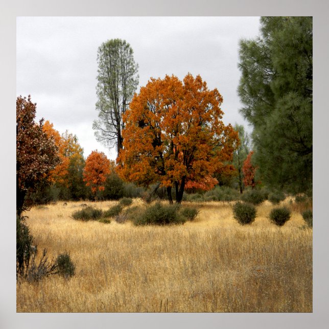 Affiche Le rassemblement... (Devant)