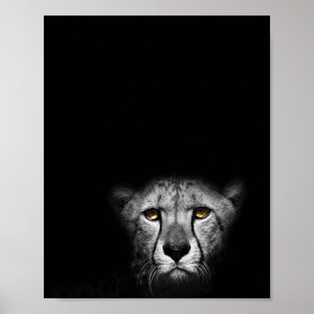 Affiche Le regard, Leopard, photo noir et blanc (Devant)