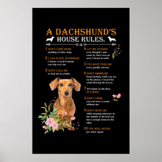 Affiche Le règlement de la maison d'un Dachshund