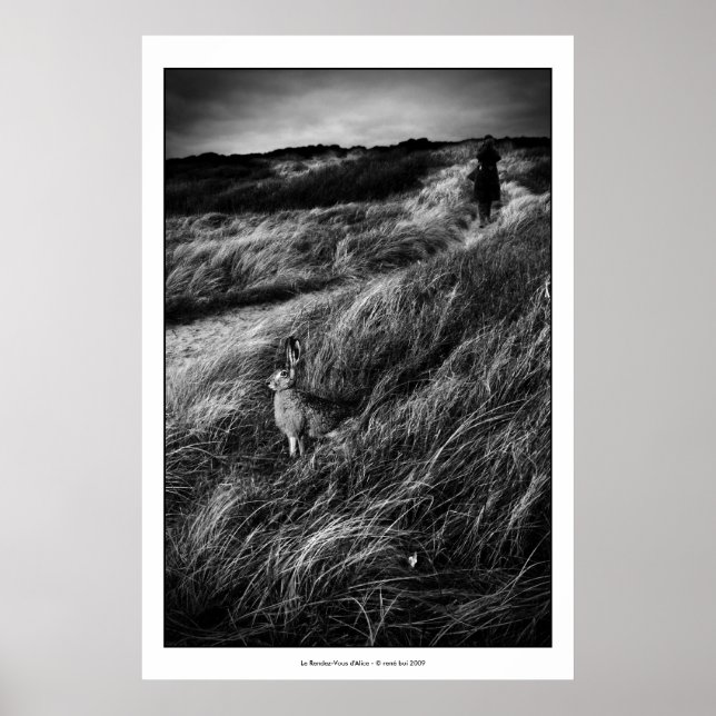 Affiche Le Rendez-vous d'Alice Wonderland (Devant)