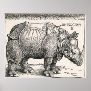 Affiche Le rhinocéros