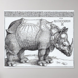 Affiche Le rhinocéros de Dürer