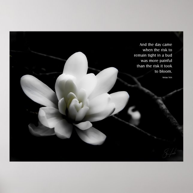 Affiche Le risque d'une explosion (Devant)