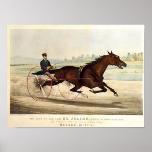 Affiche Le roi du gazon, 'St Julien